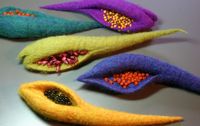 gail crosman moore  felted pod brooch.jpg